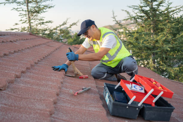Best Roof Maintenance Services  in West Fork, AR