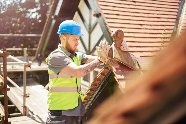 Best Roof Gutter Cleaning  in West Fork, AR
